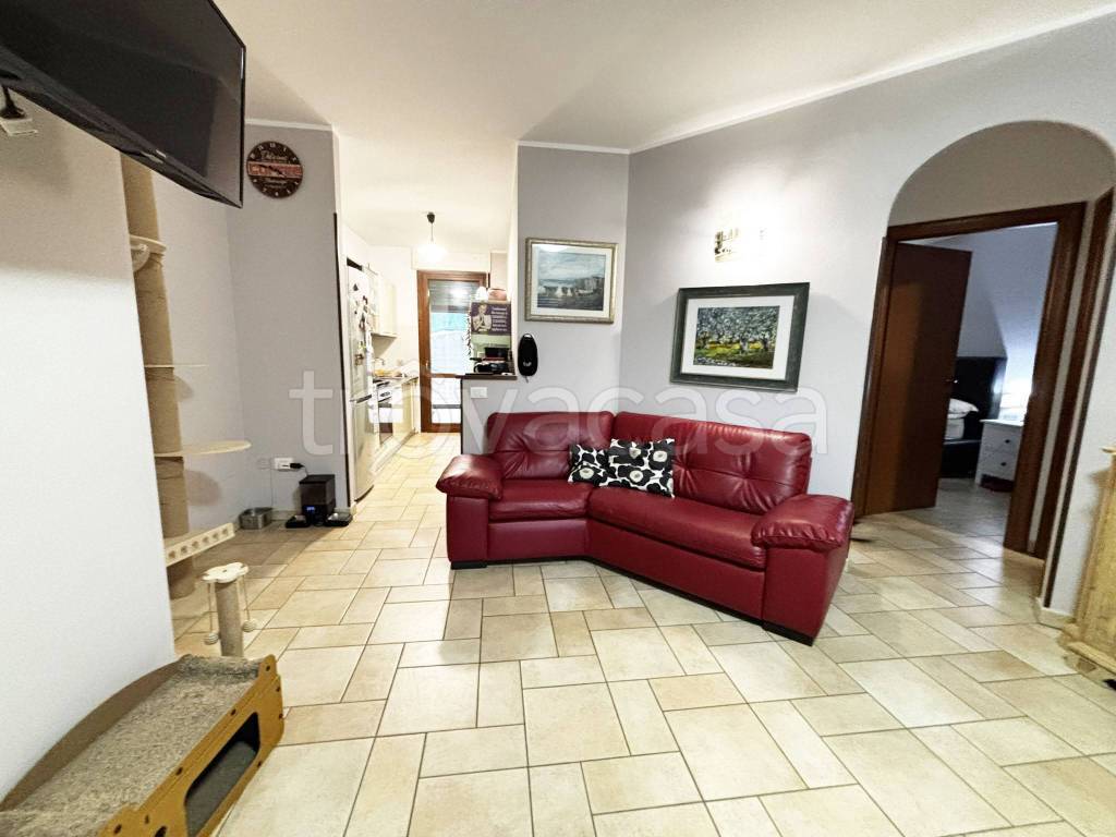 immagine annuncio 2 di 14