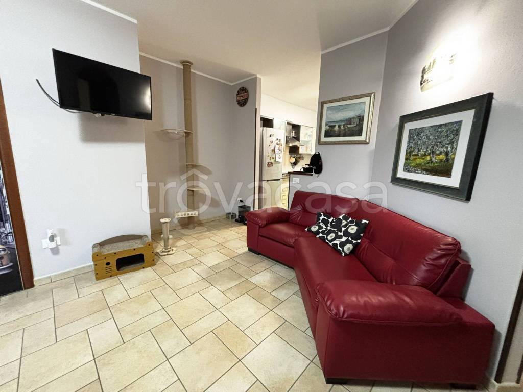 immagine annuncio 3 di 14