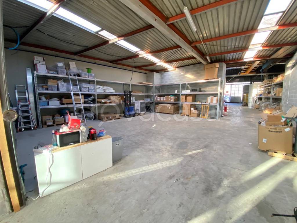 immagine annuncio 14 di 15