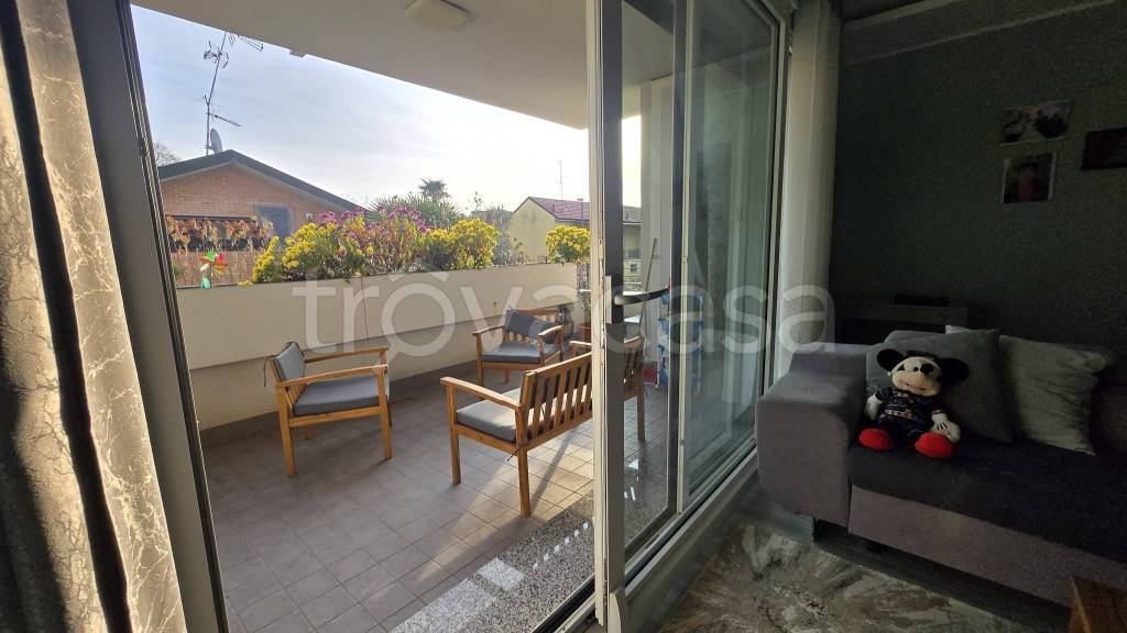 immagine annuncio 12 di 15