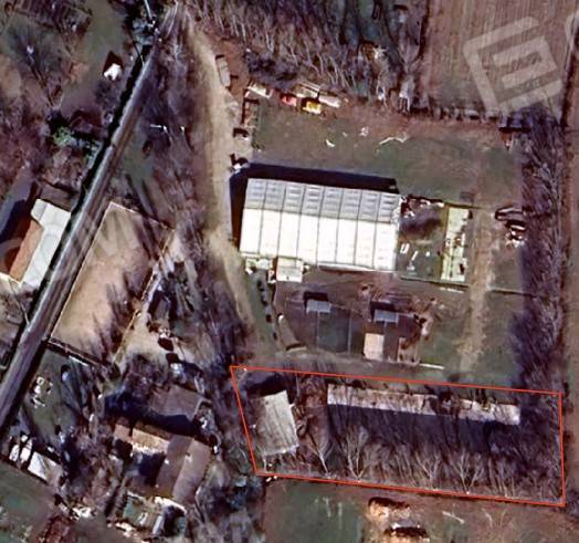 immagine annuncio 1 di 14