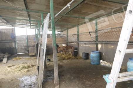 immagine annuncio 6 di 14