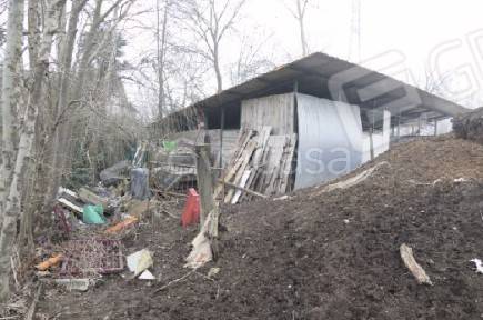 immagine annuncio 10 di 14