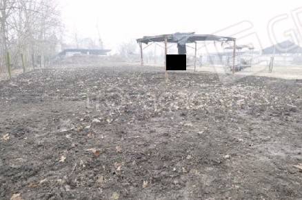 immagine annuncio 11 di 14