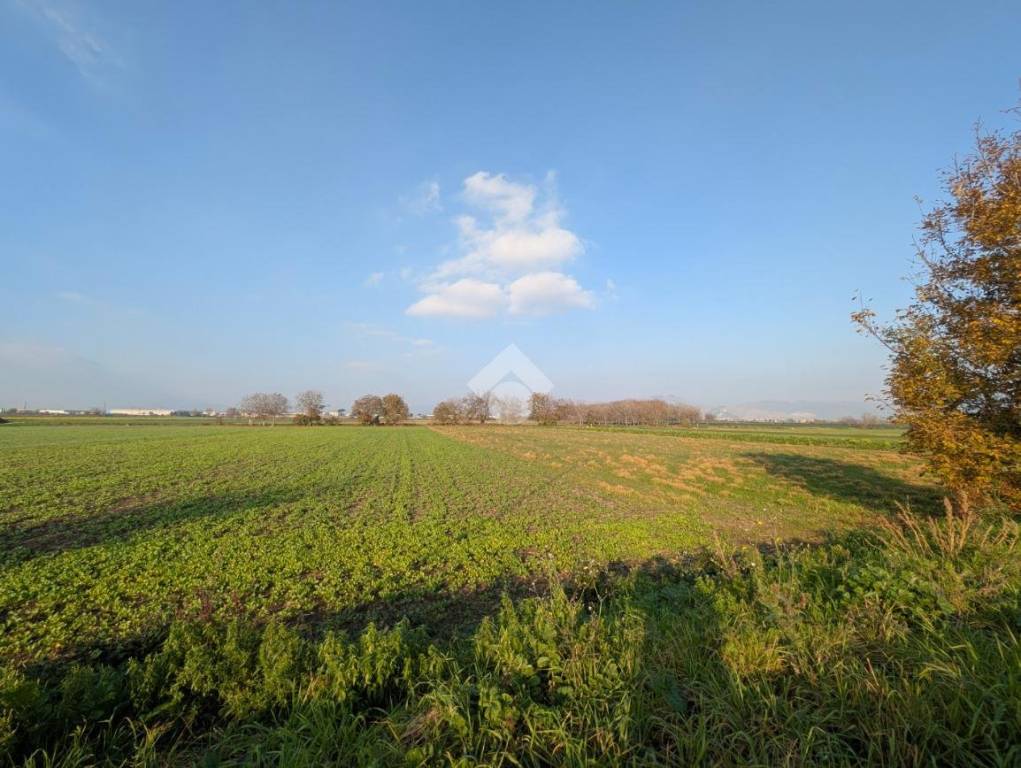 immagine annuncio 7 di 13