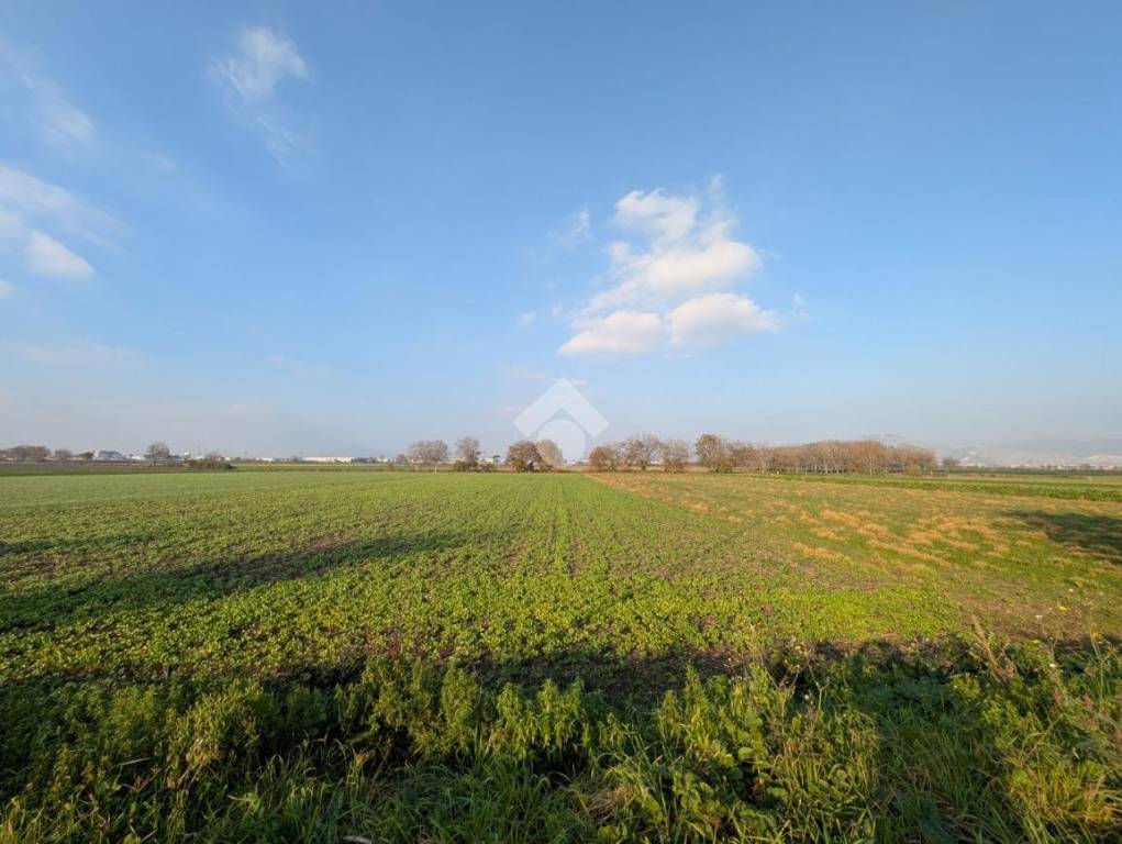 immagine annuncio 8 di 13