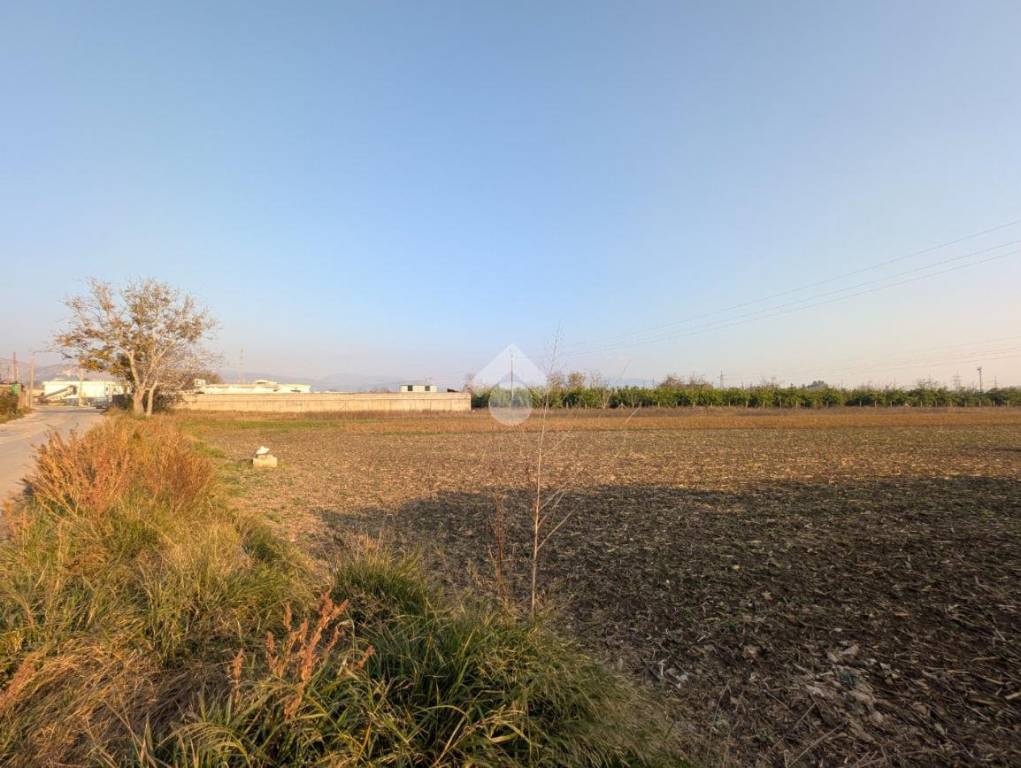 immagine annuncio 10 di 13