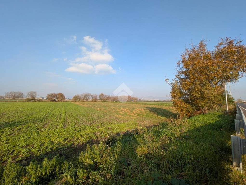 immagine annuncio 11 di 13