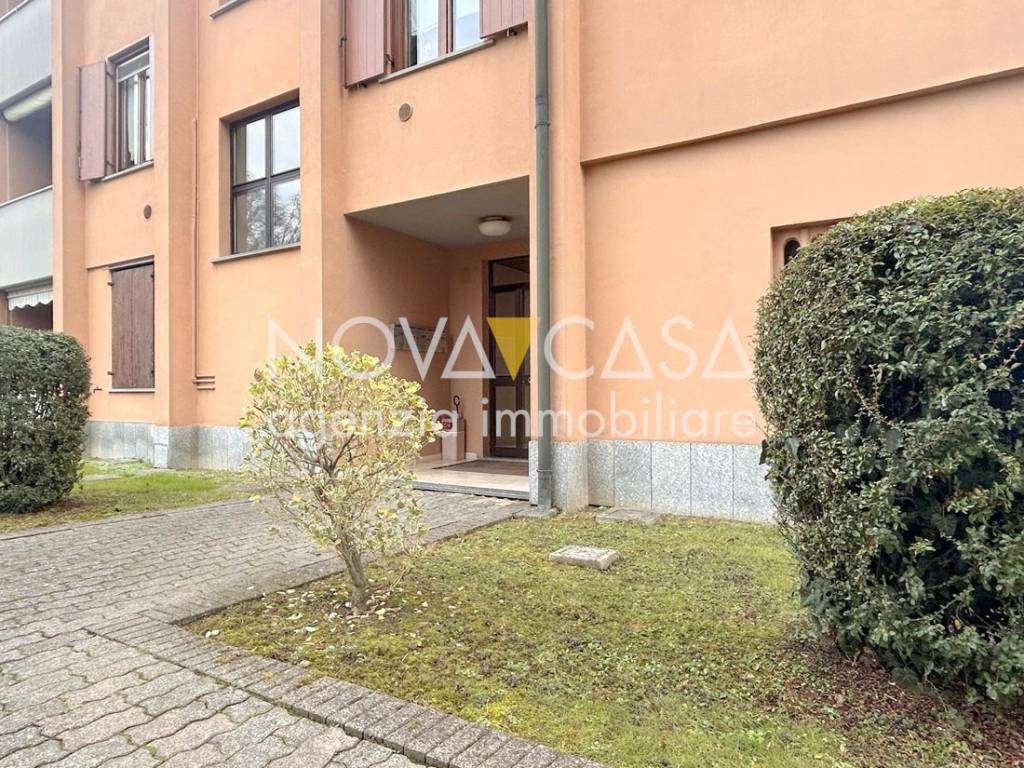 immagine annuncio 1 di 15