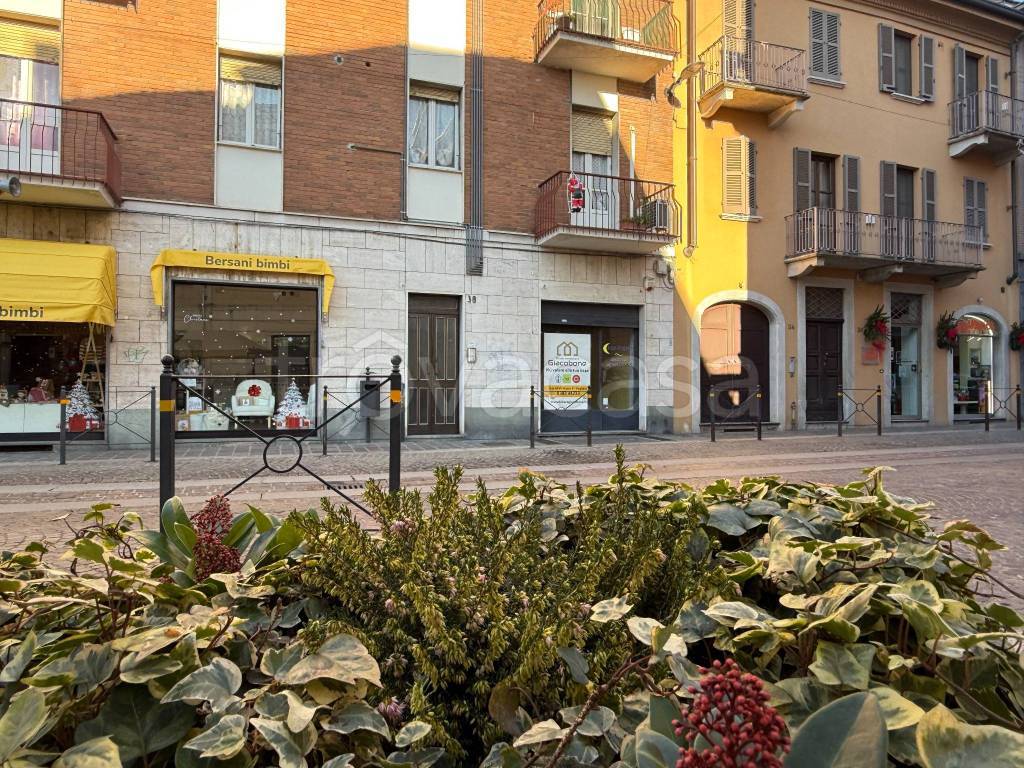 immagine annuncio 11 di 15