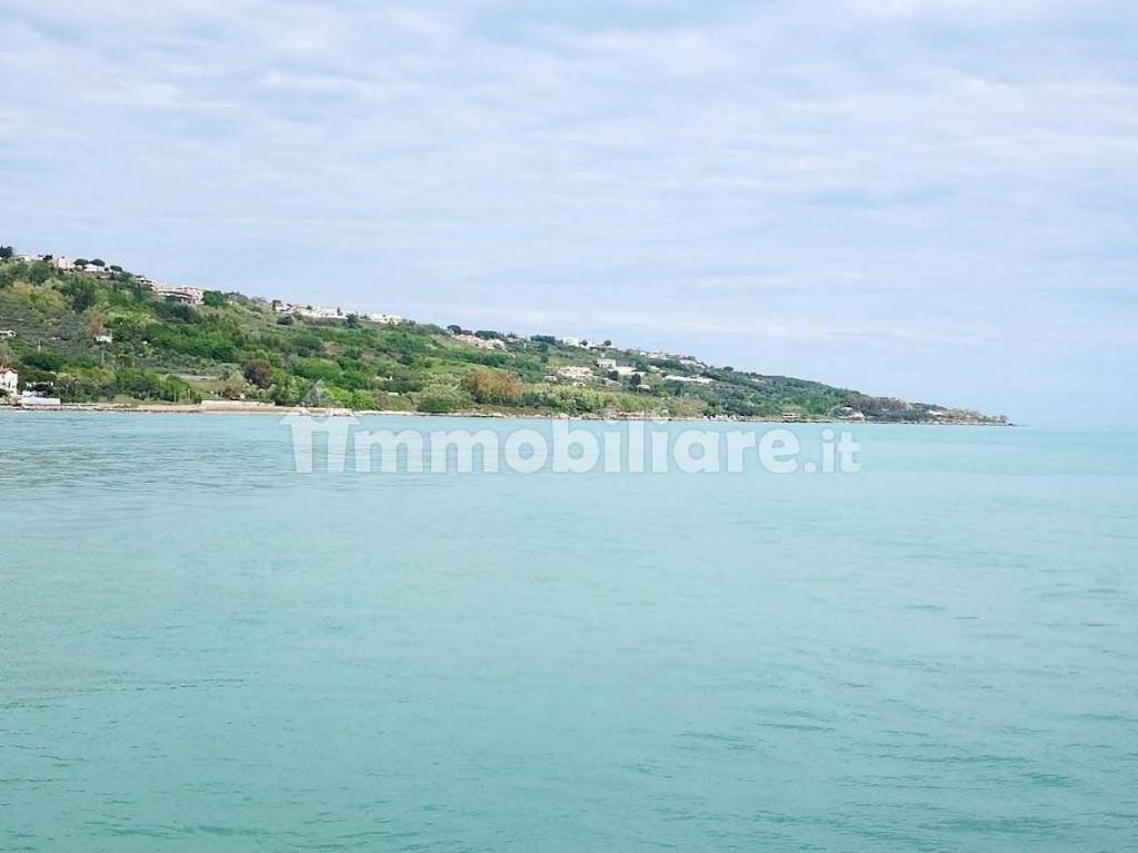 immagine annuncio 4 di 14