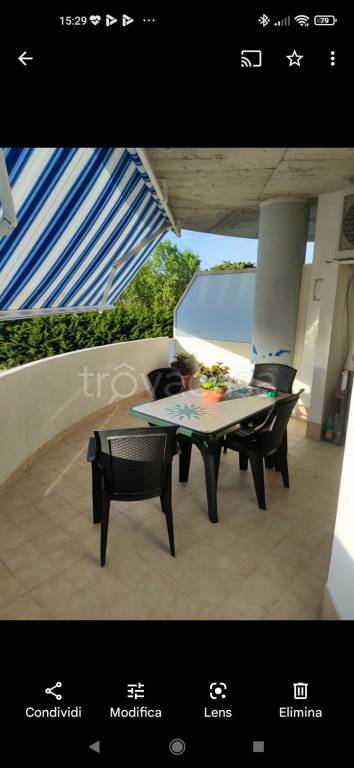 immagine annuncio 12 di 14