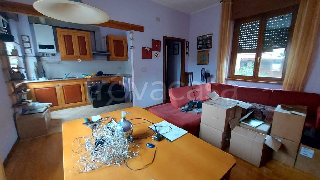 immagine annuncio 9 di 14