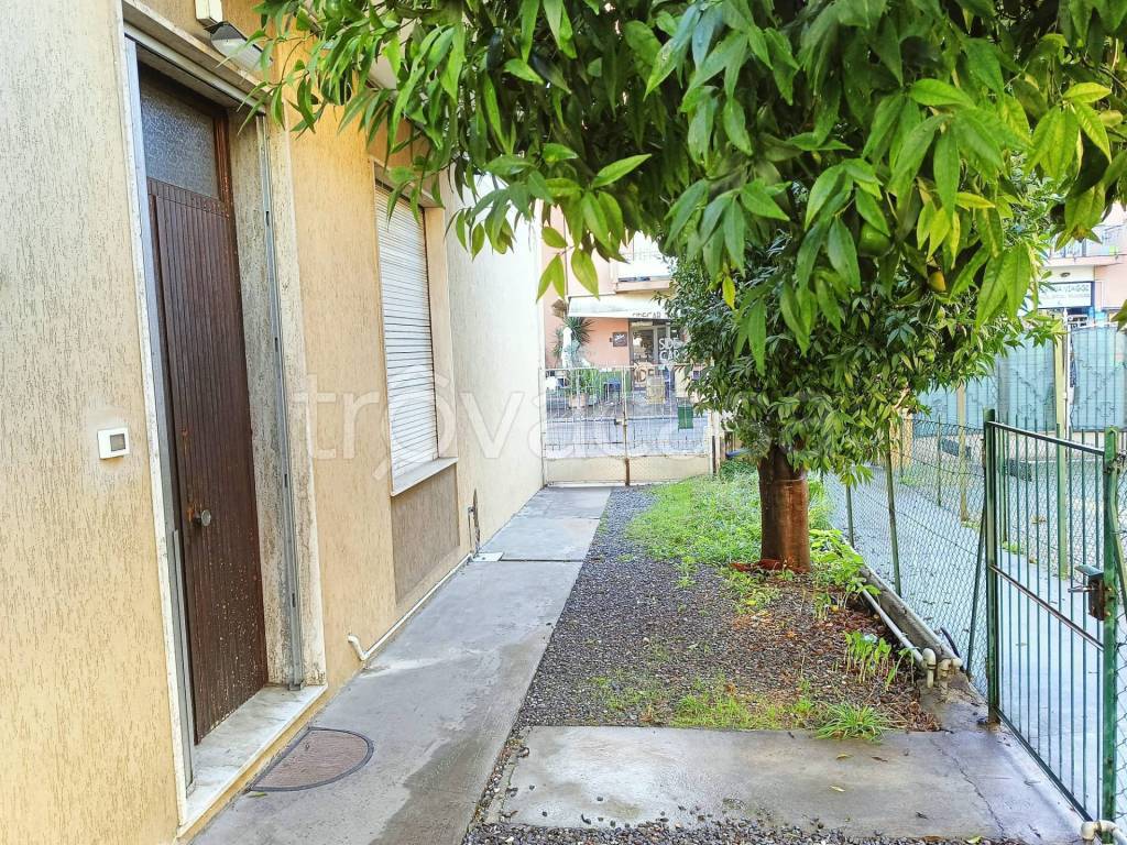 immagine annuncio 5 di 6