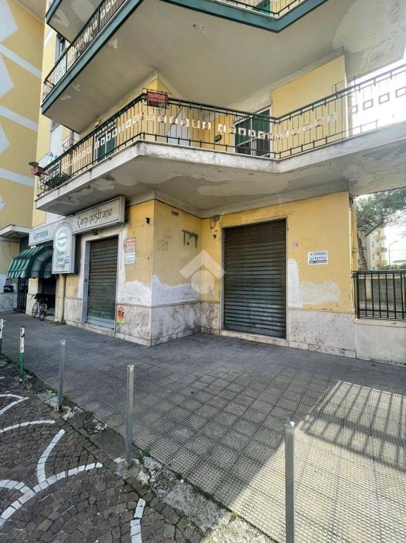 immagine annuncio 12 di 13