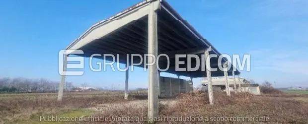 immagine annuncio 3 di 14