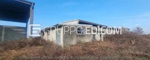 immagine annuncio 4 di 14