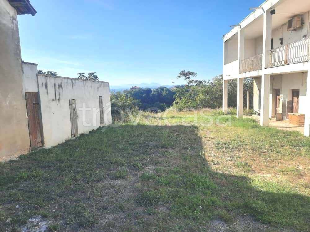 immagine annuncio 3 di 7