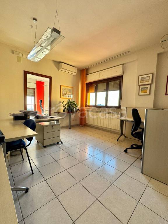 immagine annuncio 5 di 12