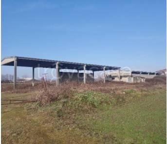 immagine annuncio 1 di 14