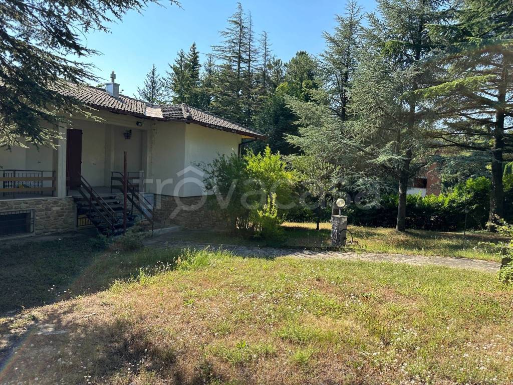 immagine annuncio 3 di 8