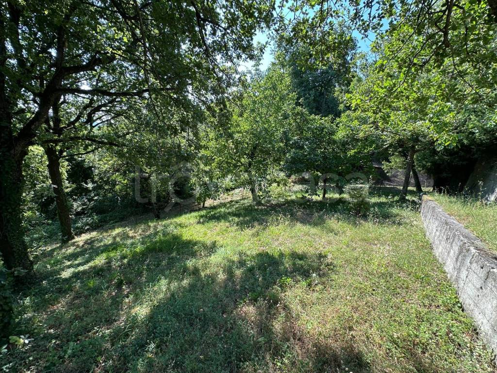 immagine annuncio 4 di 8