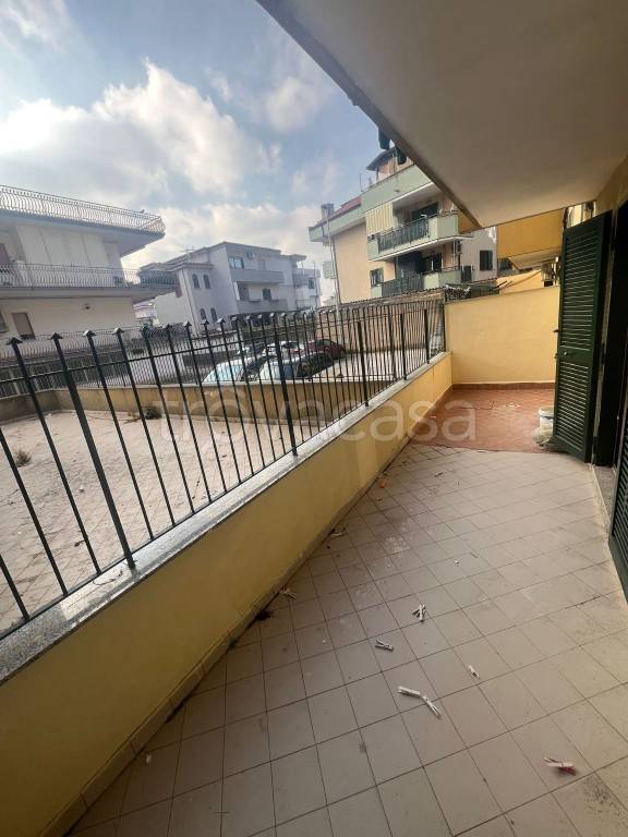 immagine annuncio 4 di 12