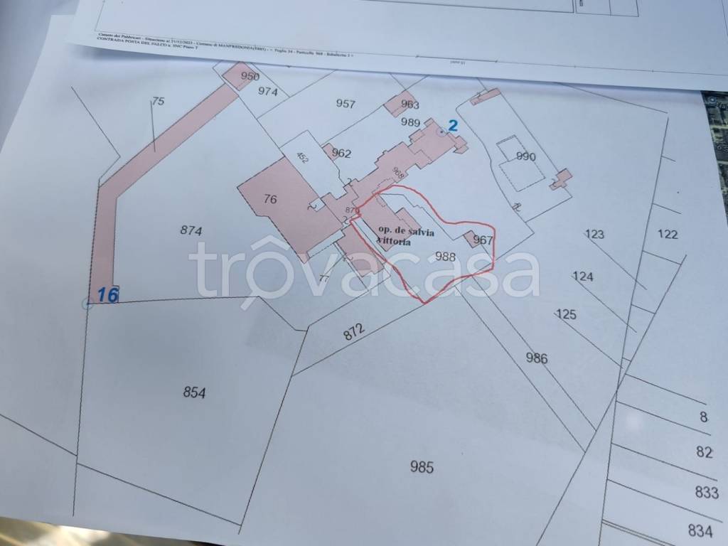 immagine annuncio 6 di 15