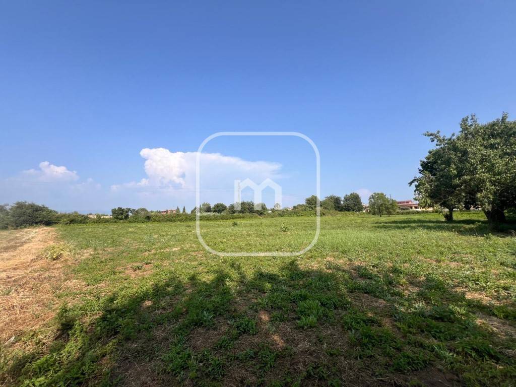 immagine annuncio 3 di 11