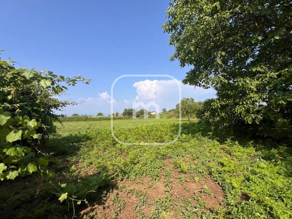 immagine annuncio 4 di 11