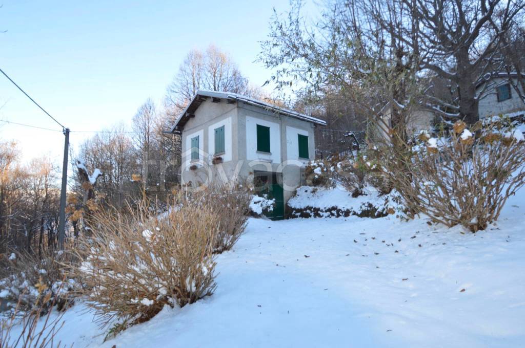 immagine annuncio 3 di 14