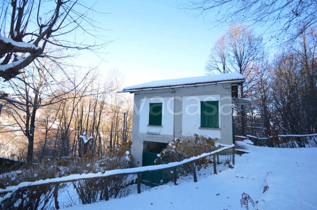 immagine annuncio 4 di 14