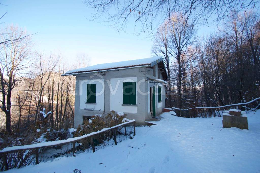 immagine annuncio 5 di 14