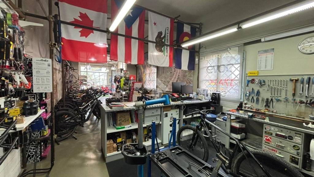 immagine annuncio 12 di 15