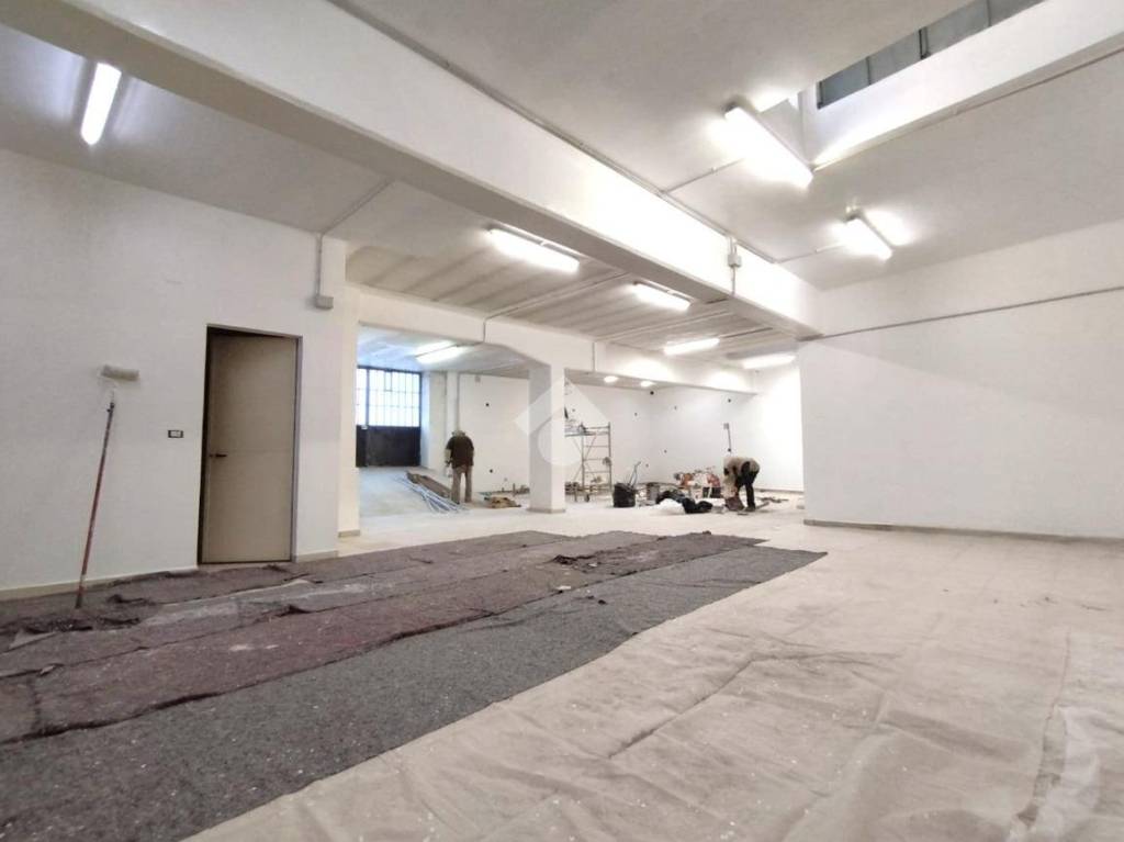 immagine annuncio 7 di 12