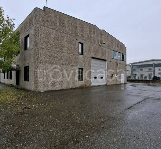 immagine annuncio 1 di 12