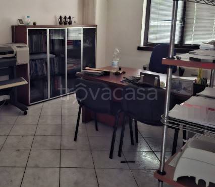 immagine annuncio 4 di 12