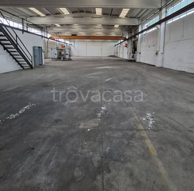 immagine annuncio 6 di 12