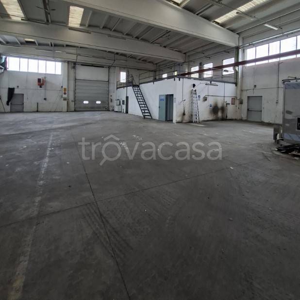 immagine annuncio 7 di 12