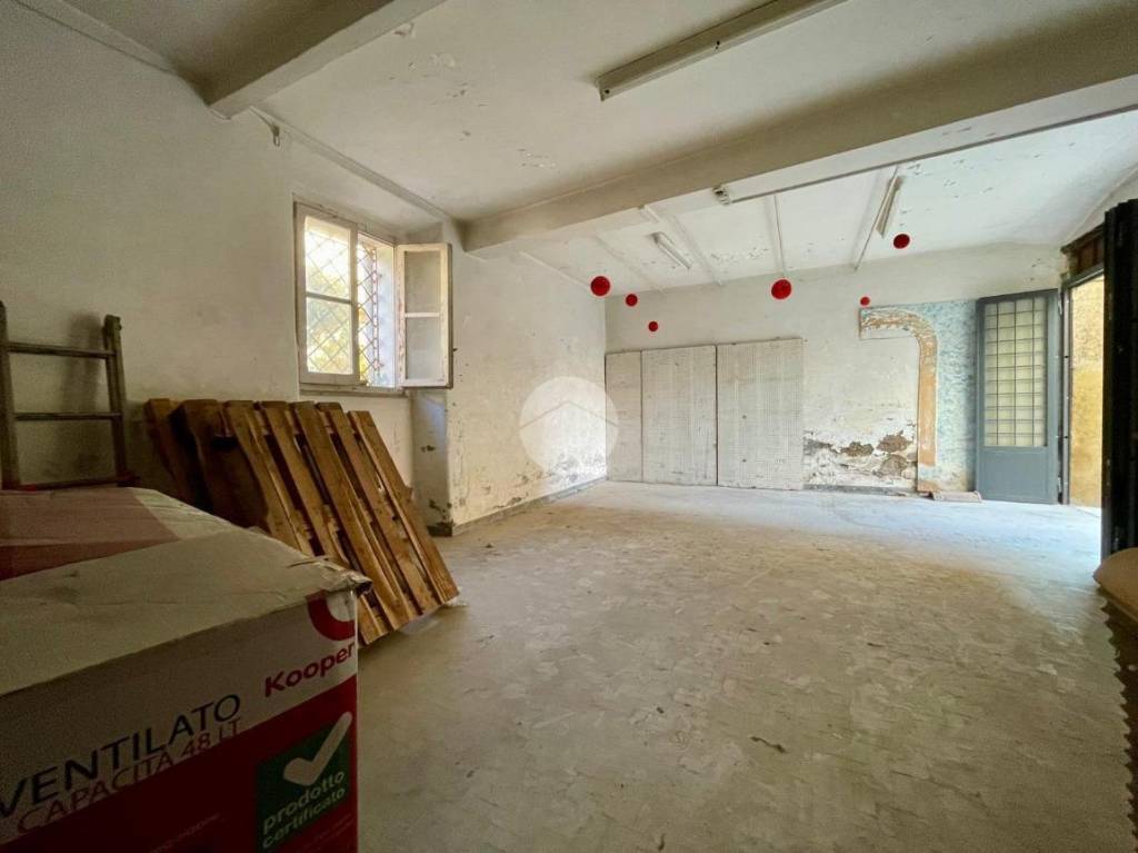 immagine annuncio 9 di 14