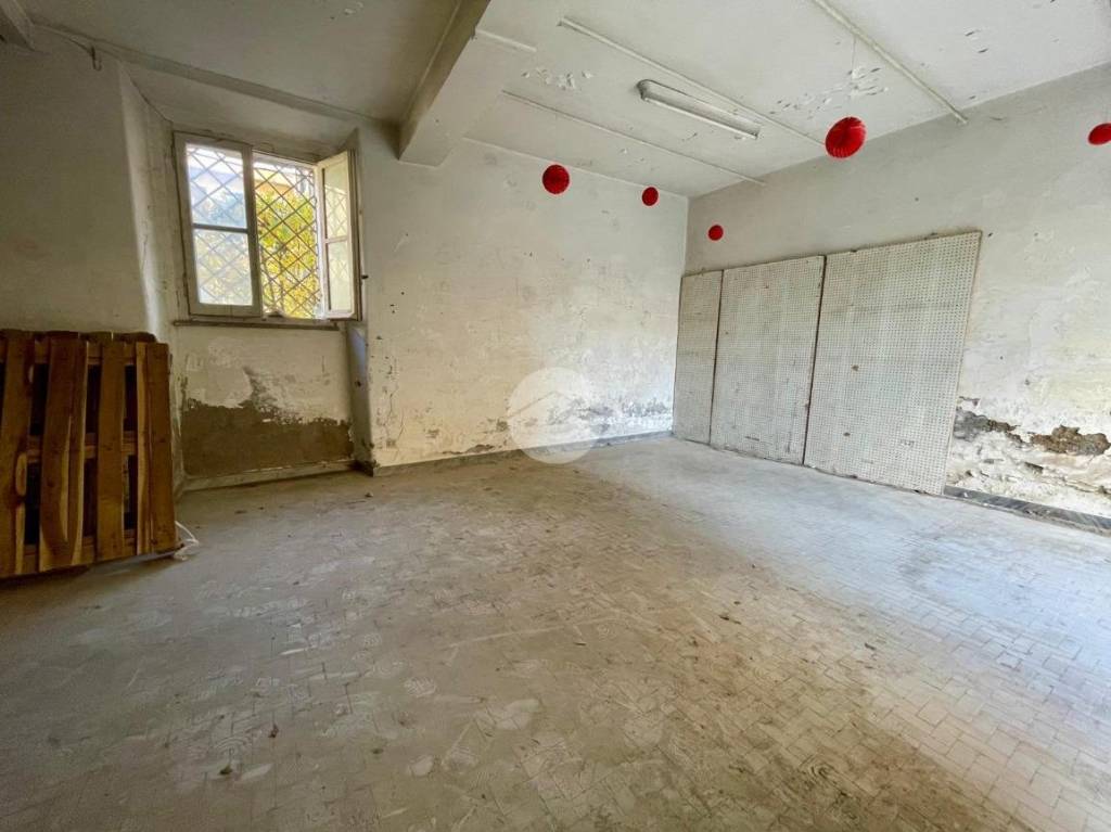 immagine annuncio 11 di 14