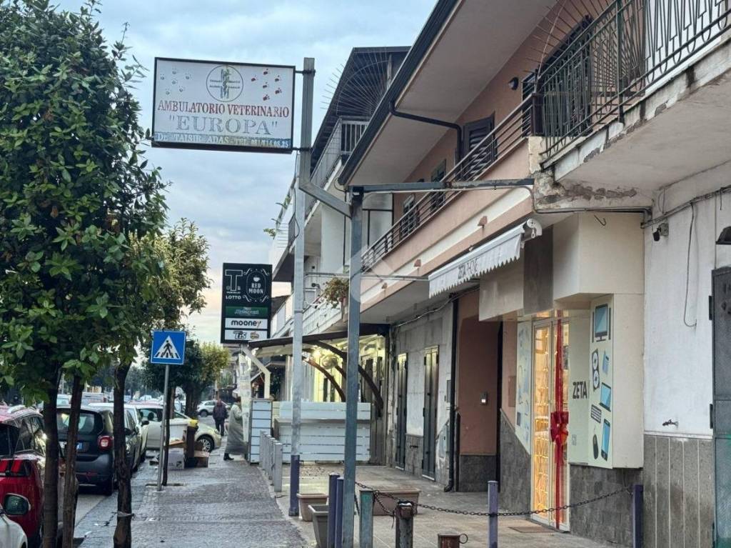 immagine annuncio 1 di 13