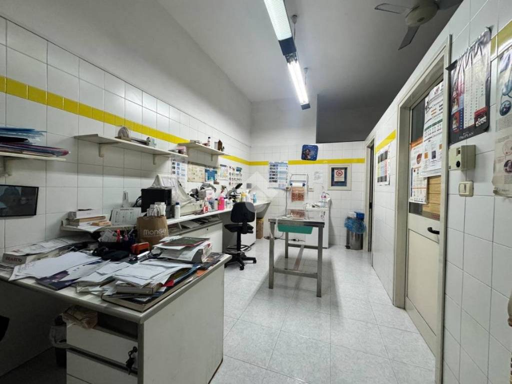 immagine annuncio 2 di 13