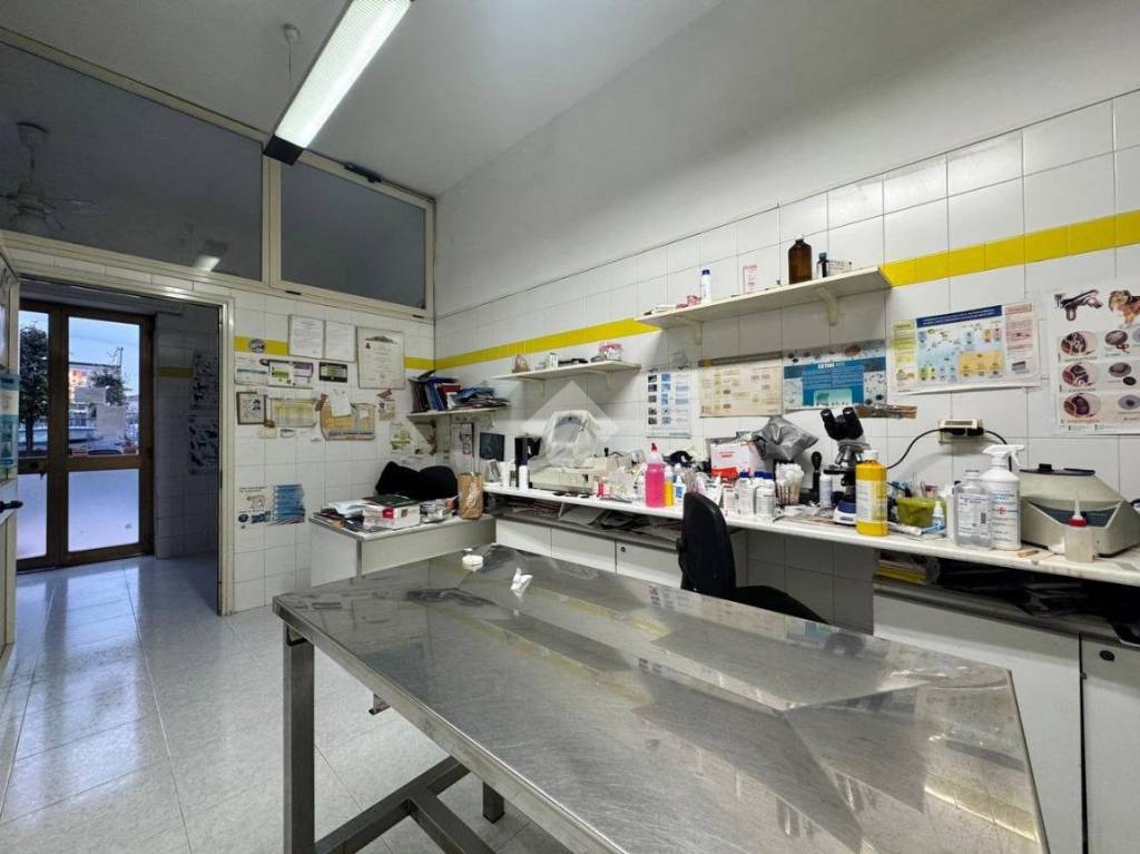 immagine annuncio 3 di 13