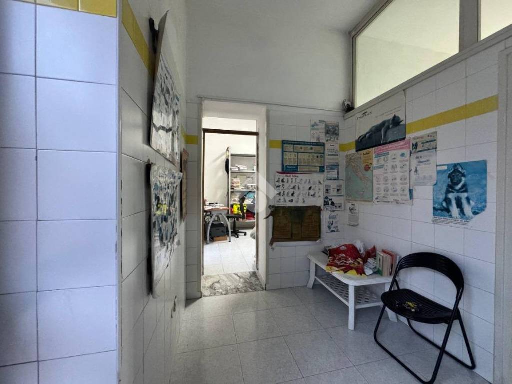 immagine annuncio 4 di 13