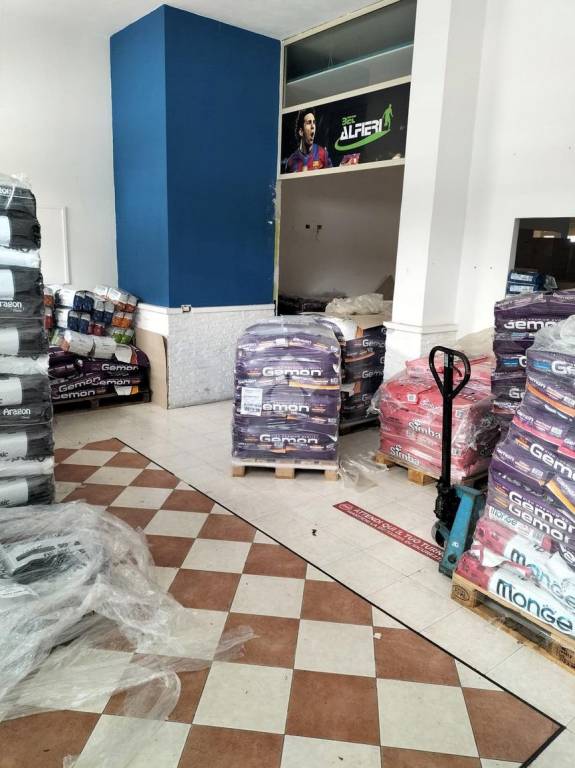 immagine annuncio 4 di 11