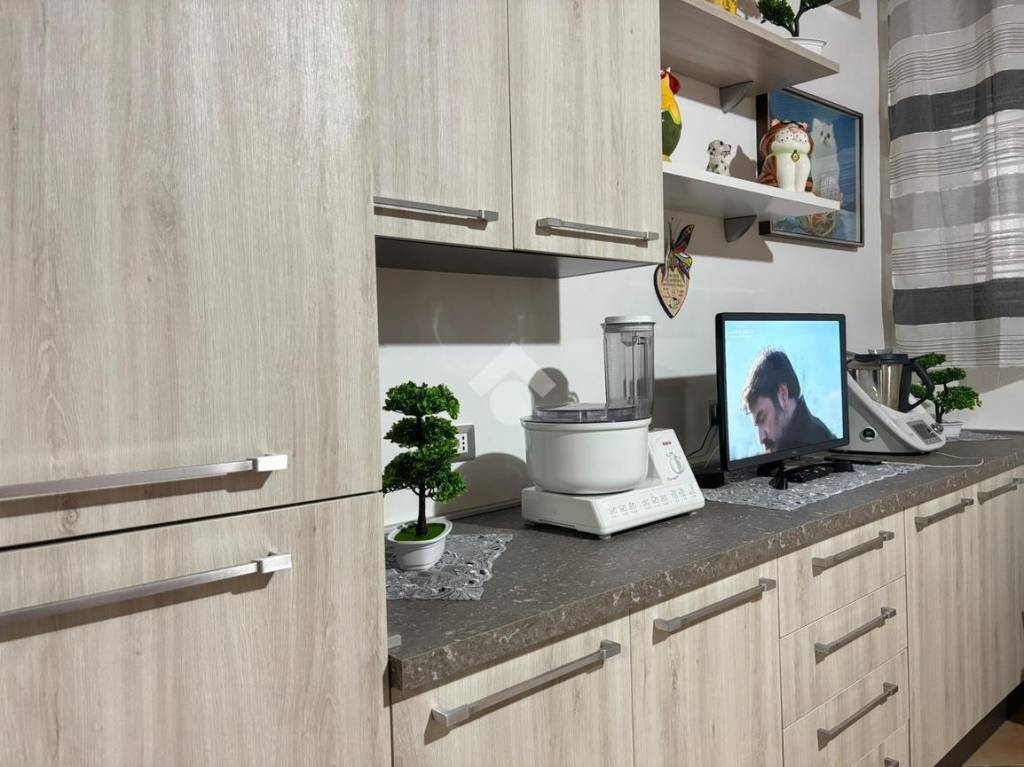 immagine annuncio 1 di 14