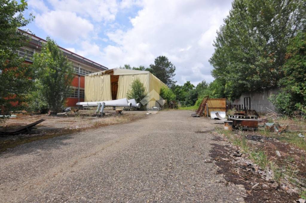 immagine annuncio 5 di 10