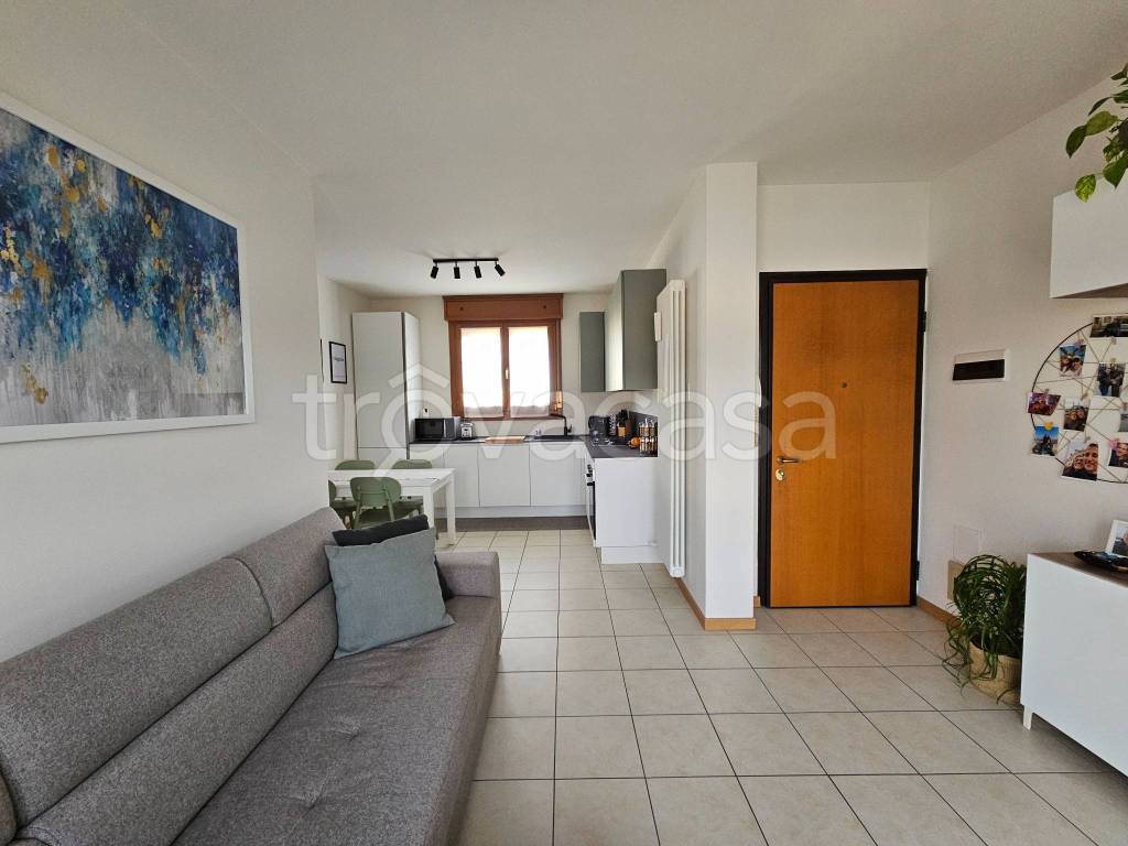 immagine annuncio 3 di 13