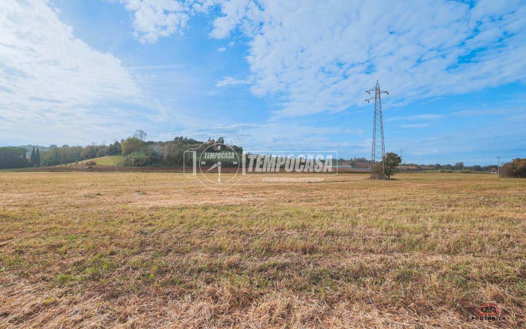 immagine annuncio 4 di 13